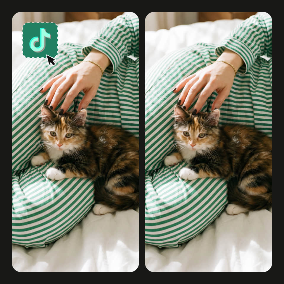 PhotoCat Video Watermark Remover