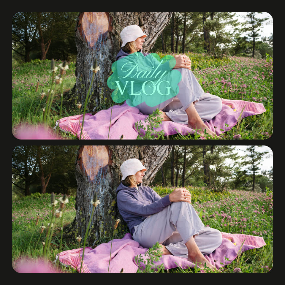 PhotoCat Video Watermark Remover