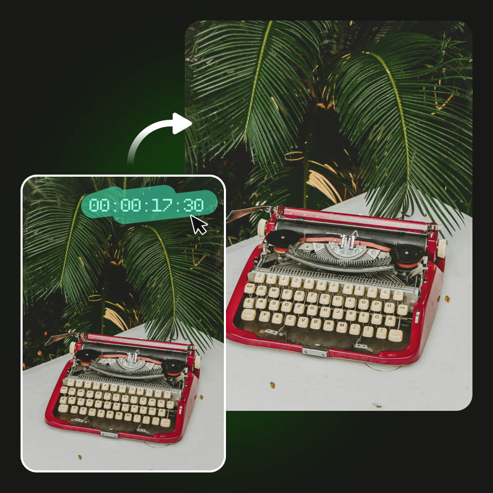 PhotoCat Video Watermark Remover