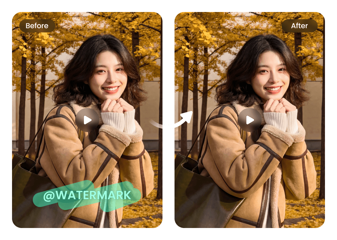 PhotoCat Video Watermark Remover