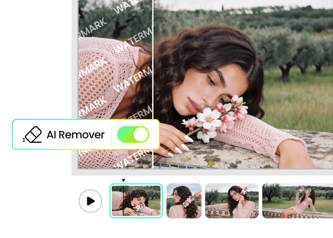 PhotoCat Video Watermark Remover