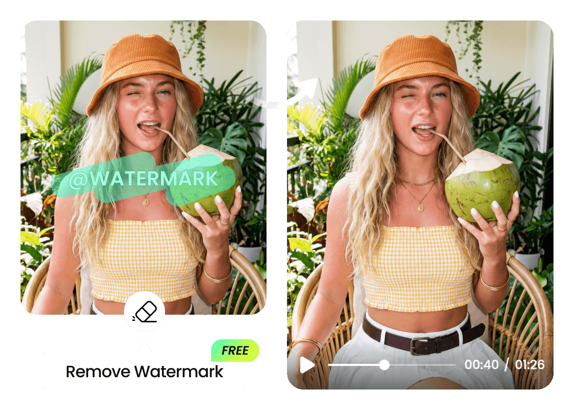 PhotoCat Video Watermark Remover